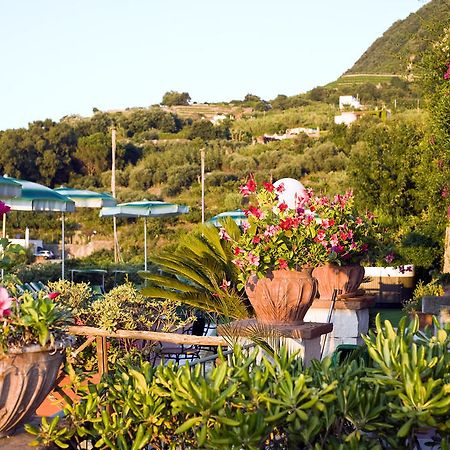 Hotel Poggio Del Sole Forio di Ischia المطعم الصورة