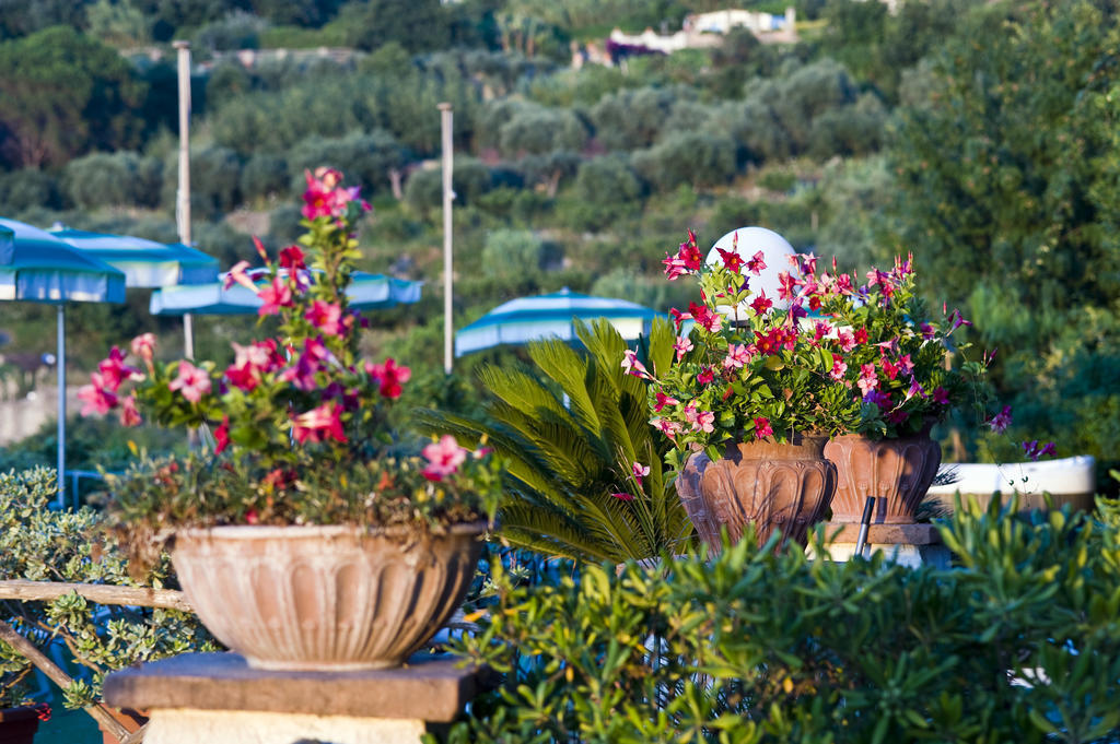 Hotel Poggio Del Sole Forio di Ischia المظهر الخارجي الصورة