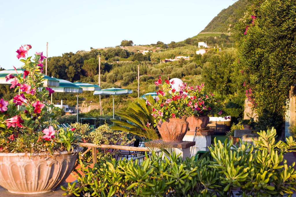 Hotel Poggio Del Sole Forio di Ischia المطعم الصورة