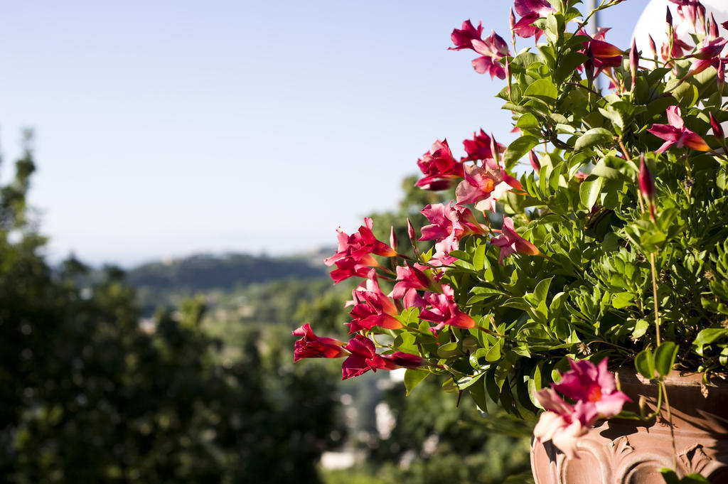 Hotel Poggio Del Sole Forio di Ischia المظهر الخارجي الصورة