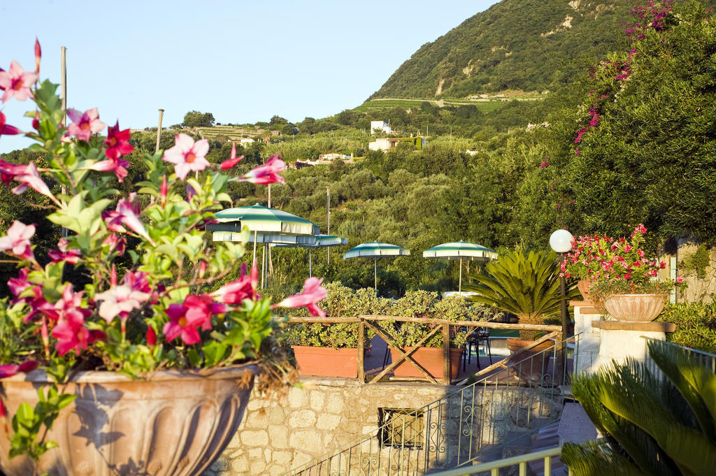 Hotel Poggio Del Sole Forio di Ischia المظهر الخارجي الصورة